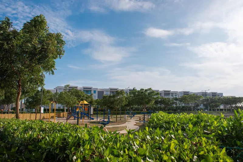 An open playground surrounded by neighborhood green space